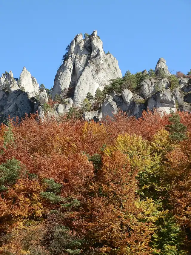 Осенний лес под скалами