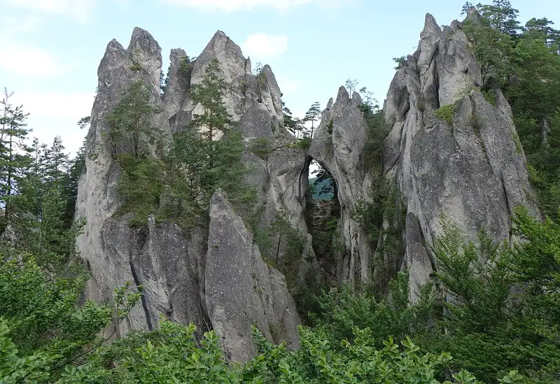 Готические ворота